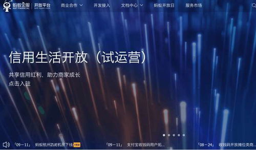 拍拍貸與趣店 互金行業(yè)的探路者、分水嶺與金融外包服務(wù)的演變